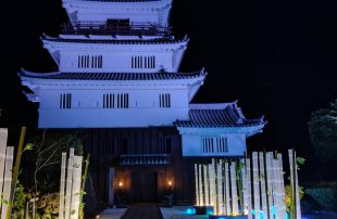 2025年平户夜间灯光展——一场穿越历史与光影的梦幻之旅