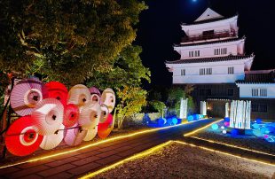 2026年度的平户夜间灯光展!